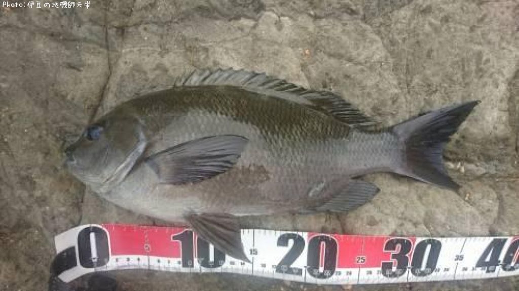 �����᥸��