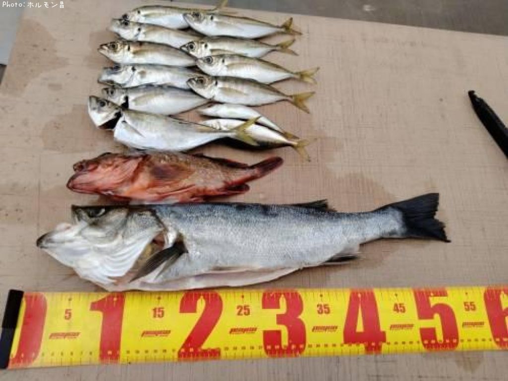 �����Х������å���������