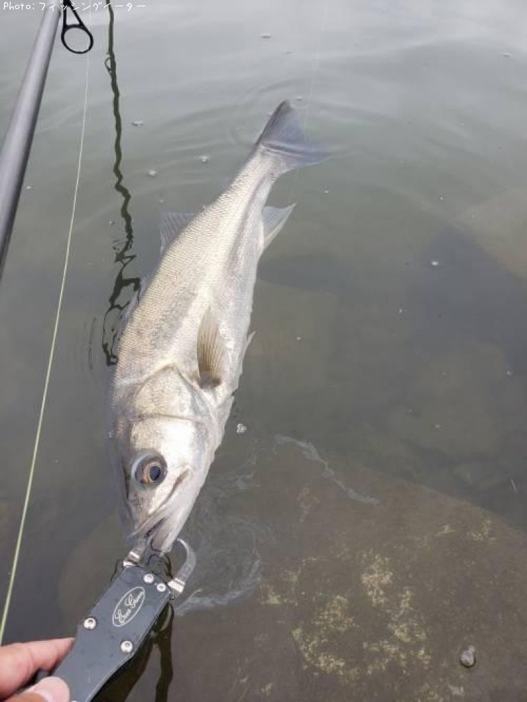 �����Х�