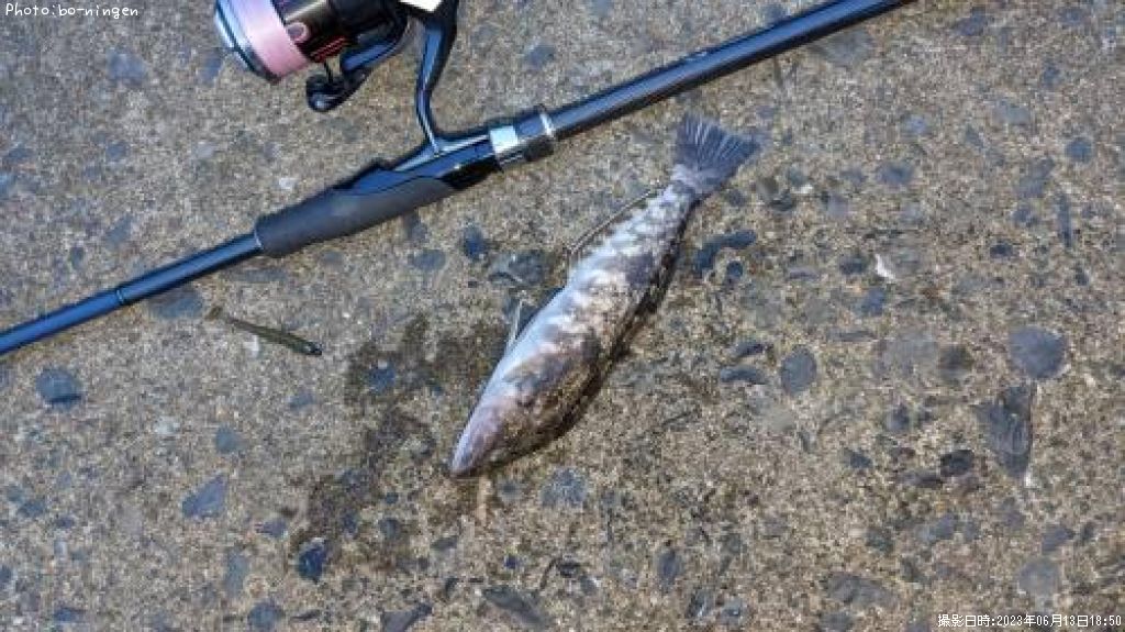 �����ʥ�