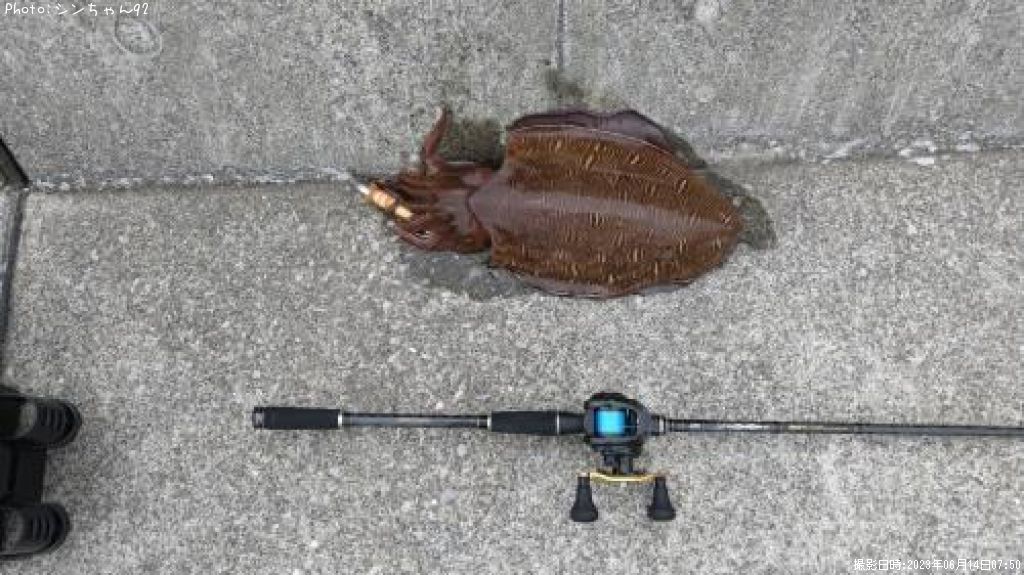 ��󥴥�����