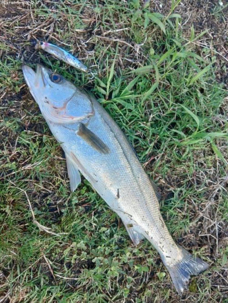 �����Х�