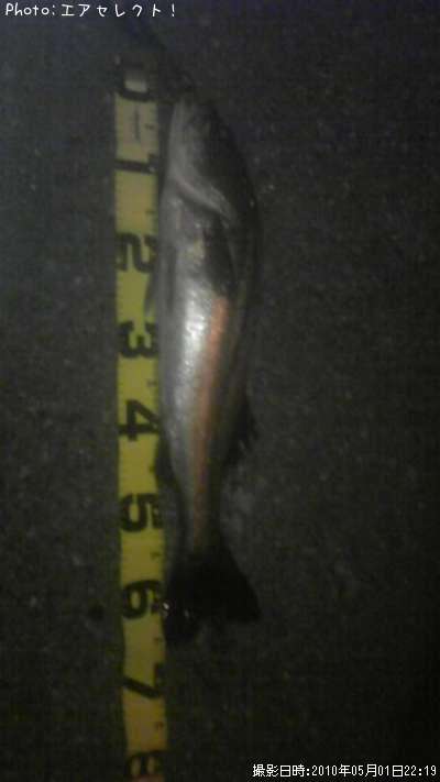 �����Х�