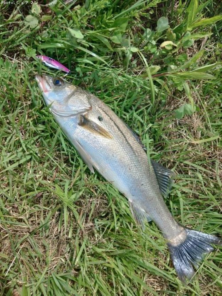 �����Х�