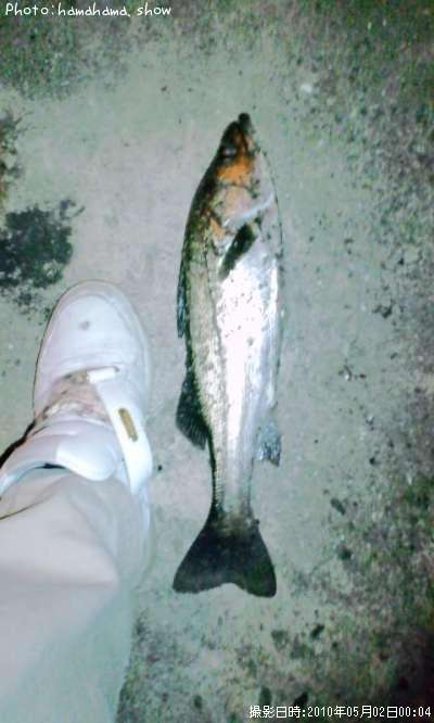 �����Х�