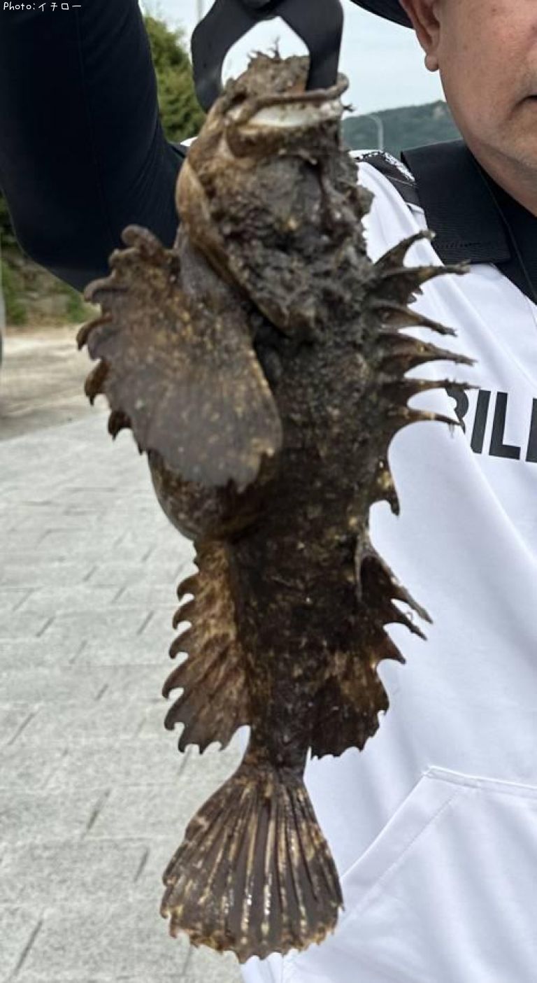 ���˥�����