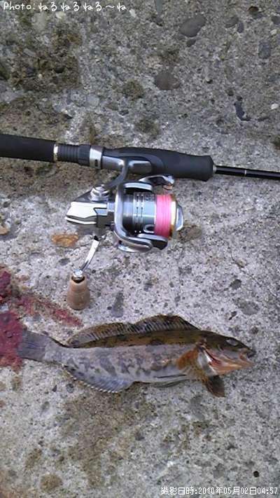 �����ʥ�