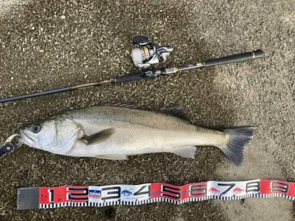 �����Х�