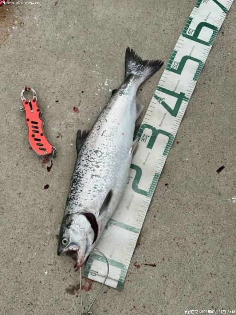 ������ޥ�