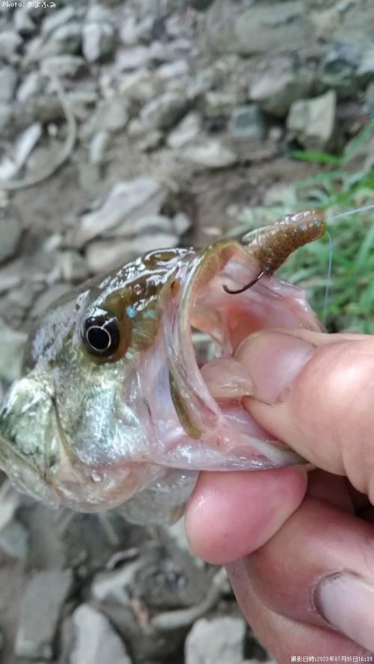 �֥�å��Х�