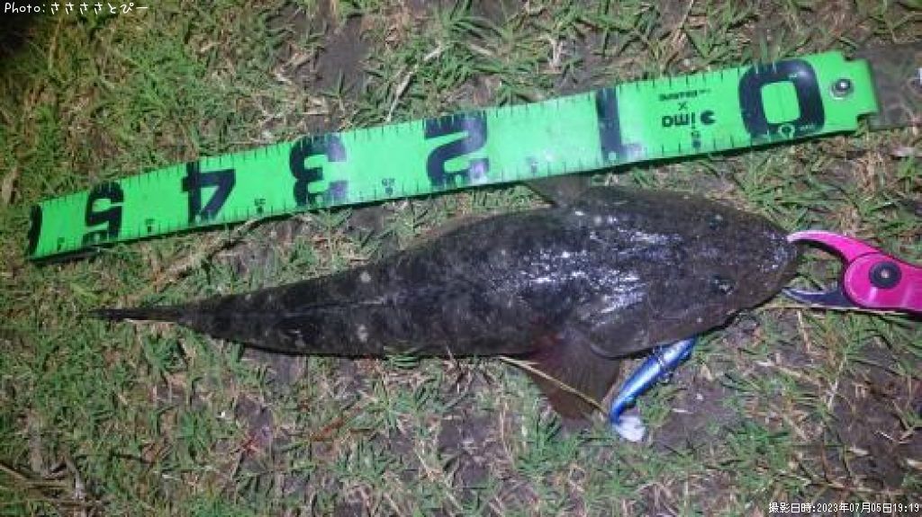 �ޥ��������ʤ����勵�ꥬ��