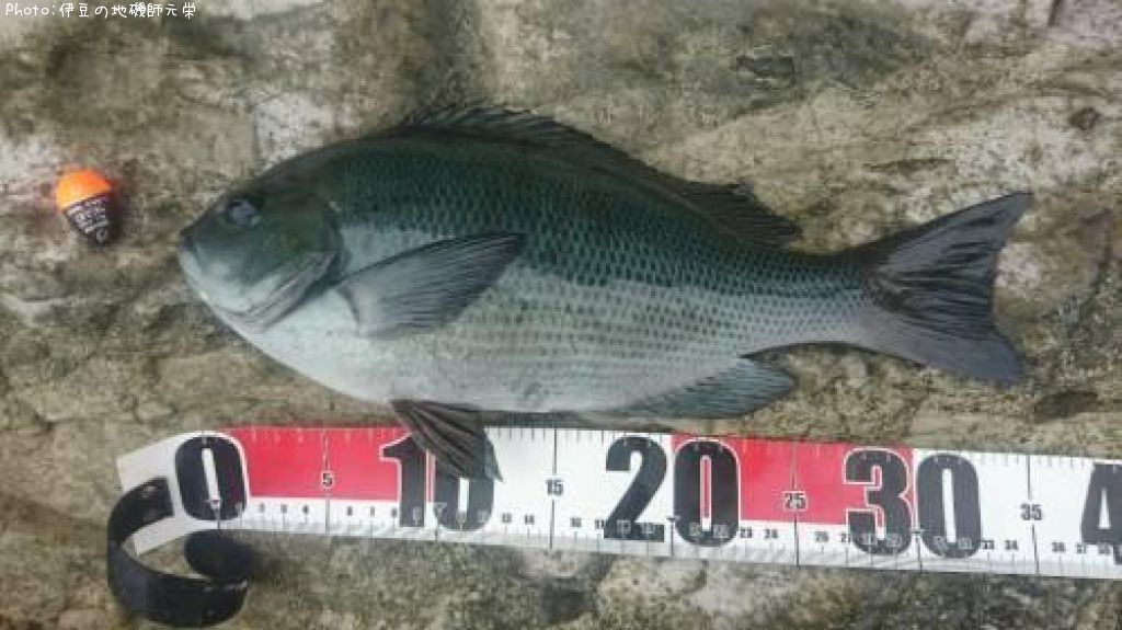 �����᥸��