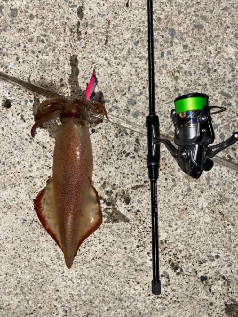 ���󥵥�����