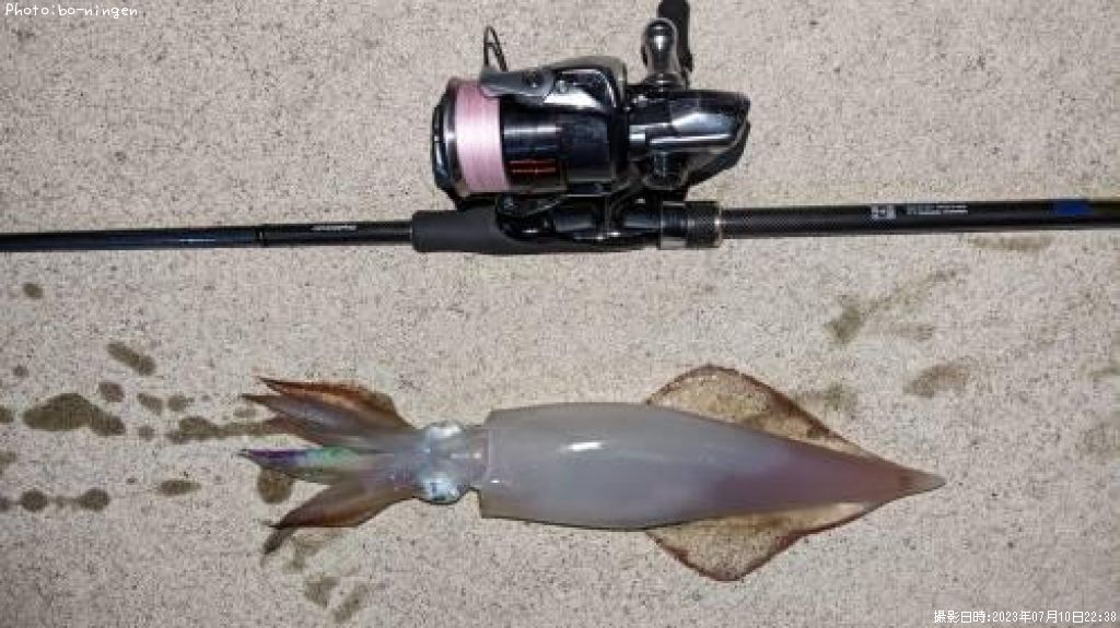 ���󥵥�����