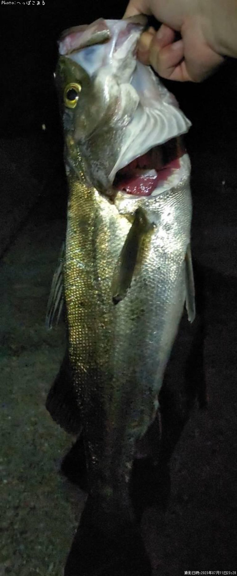 �����Х�