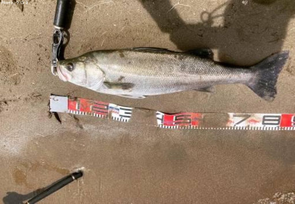 �����Х�