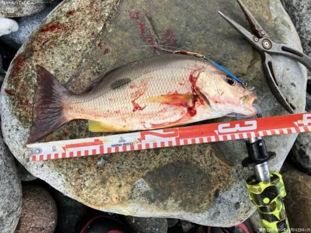 �����ۥ��ե�����