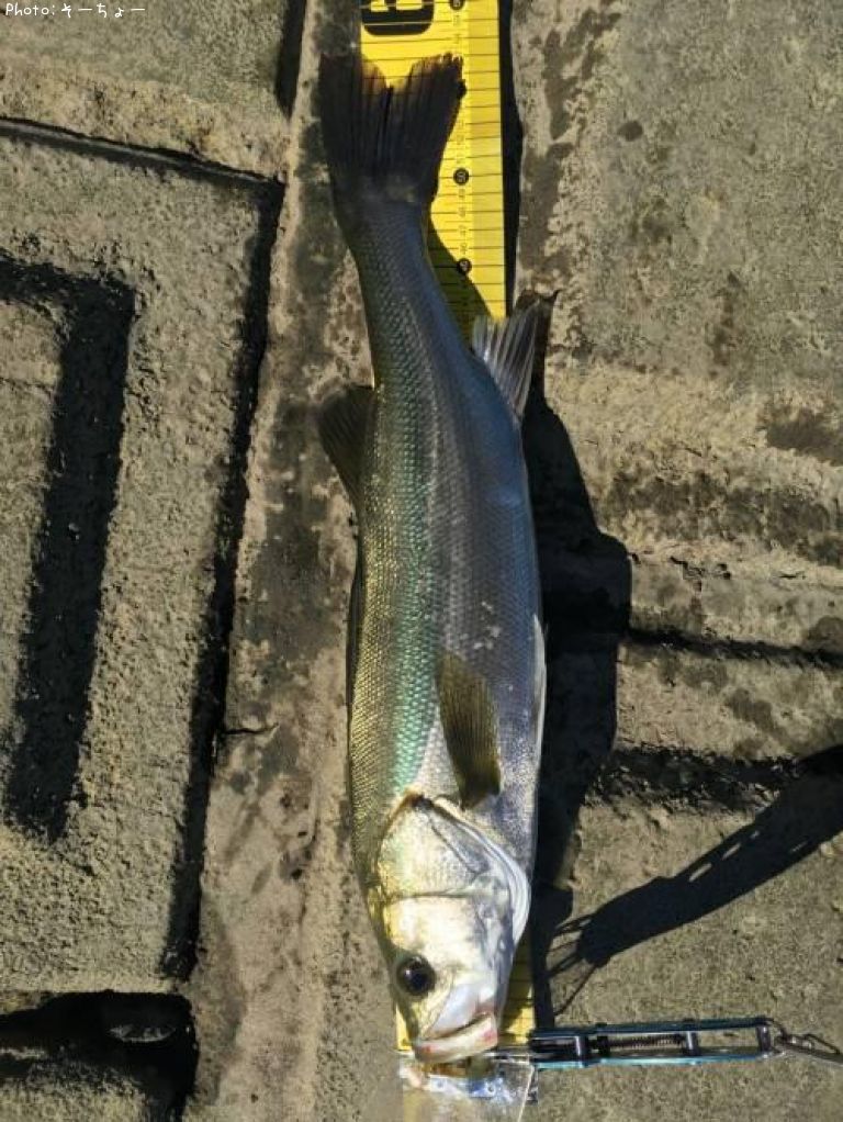 �����Х�