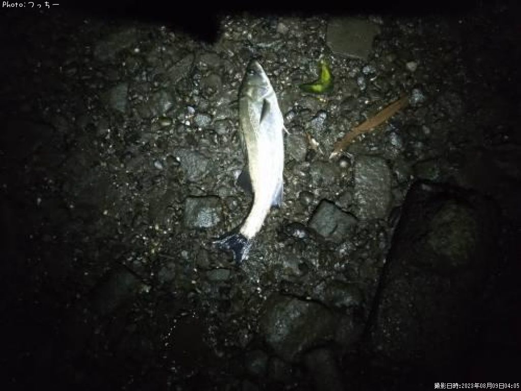 �����Х�