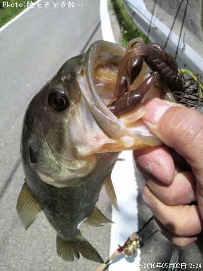 �֥�å��Х�