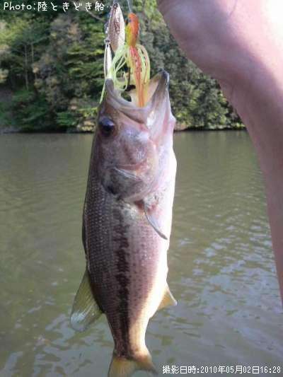 �֥�å��Х�