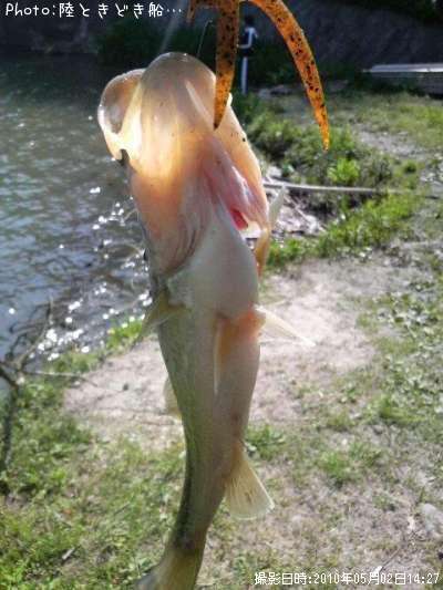 �֥�å��Х�