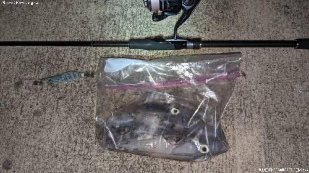 ���󥵥�����