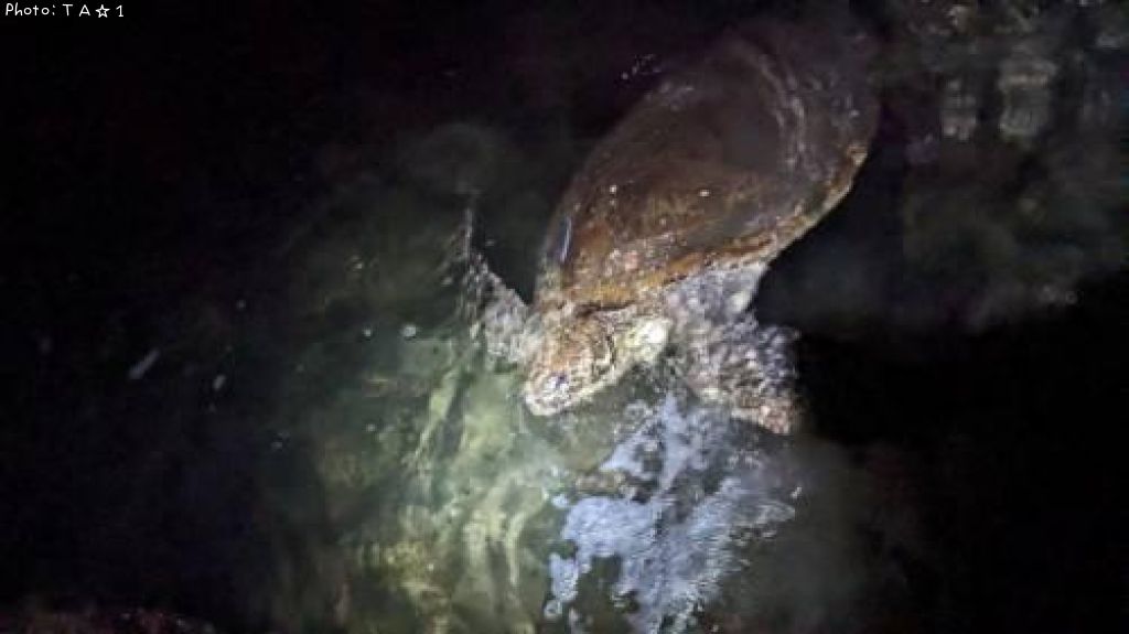 ���ߥ���