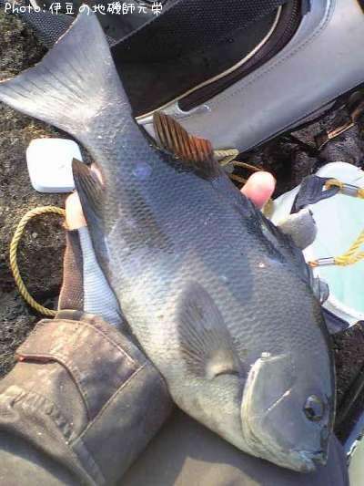 �����᥸��