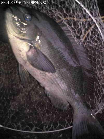 �����᥸��