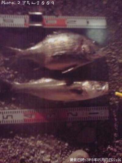 �������ȥ�������