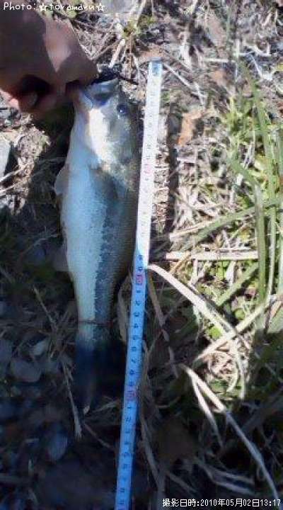 �֥�å��Х�