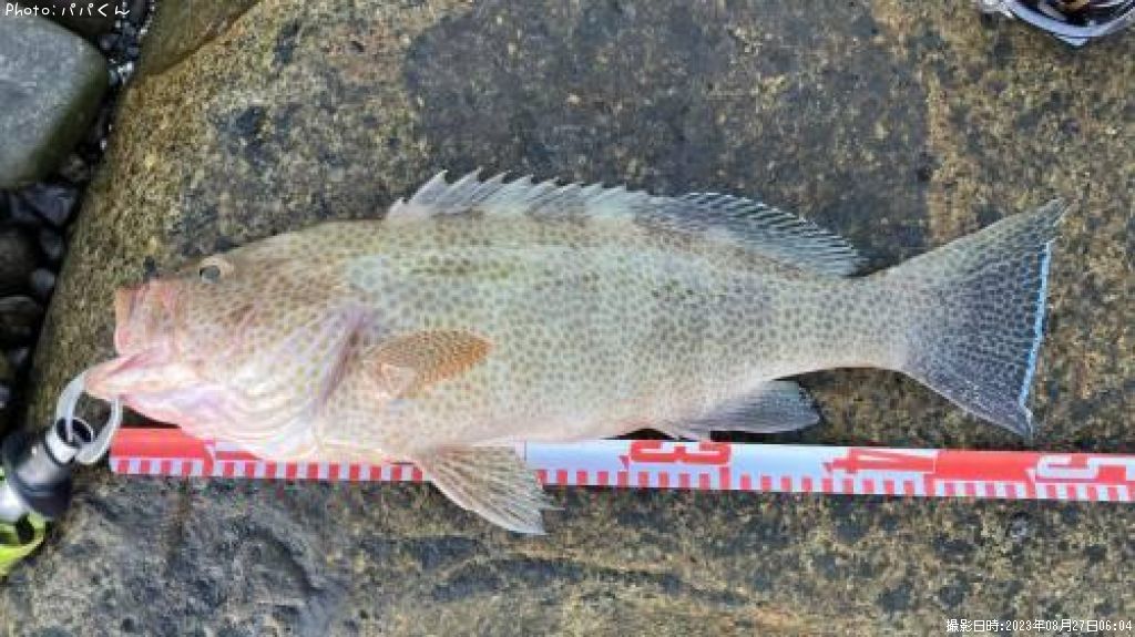 �������ϥ�