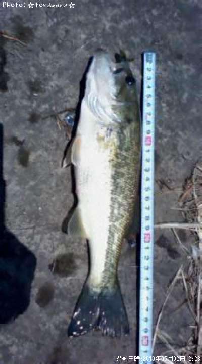 �֥�å��Х�