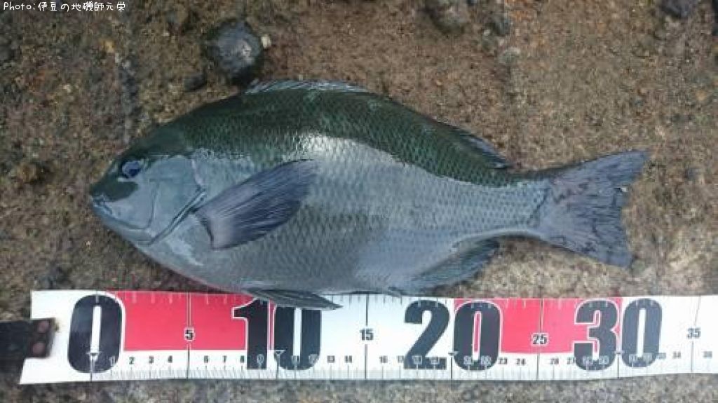 �����᥸��