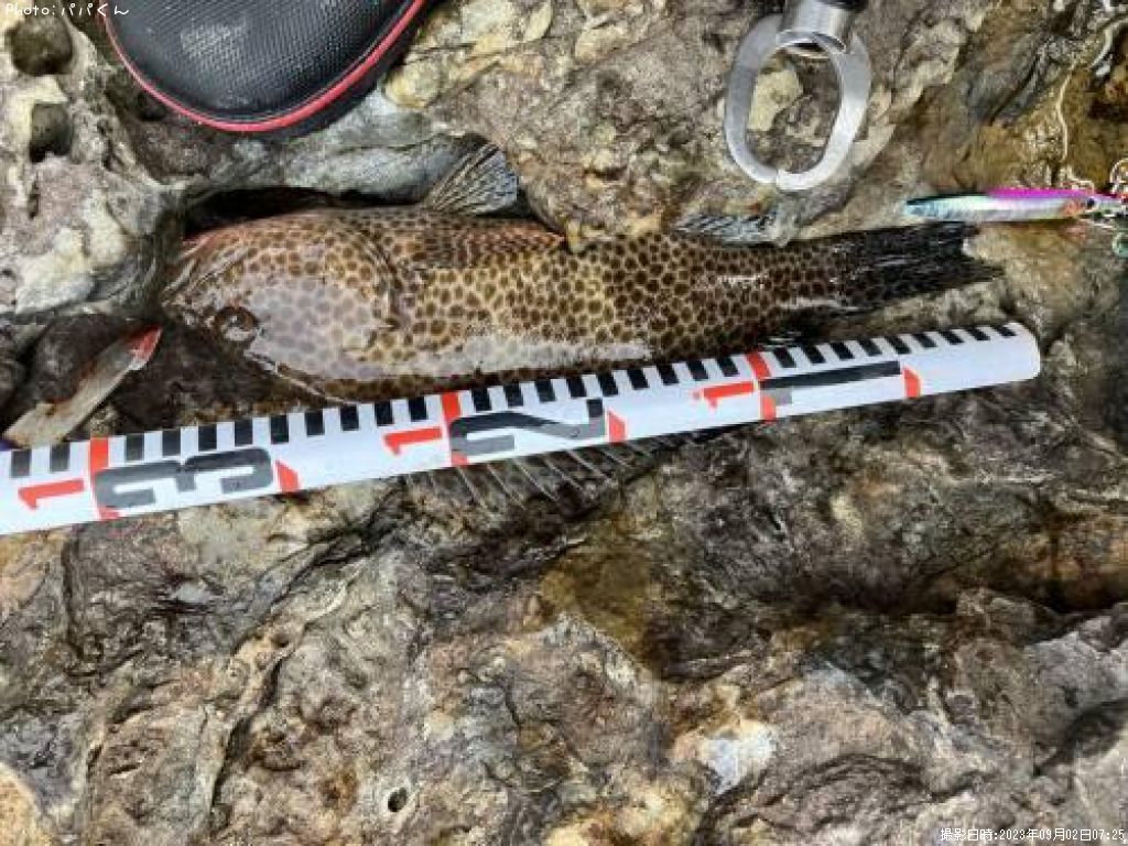 �������ϥ�