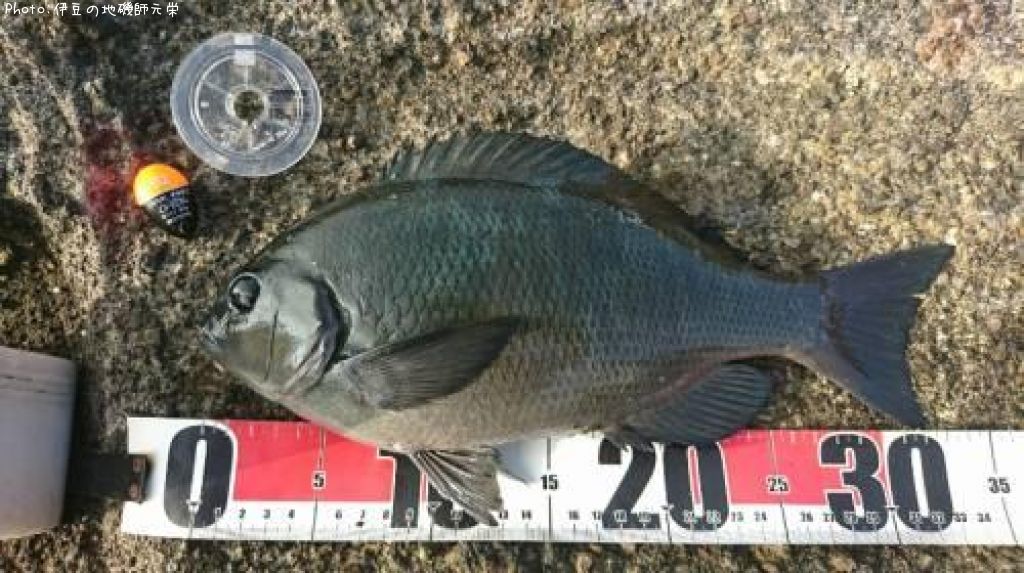 �����᥸��