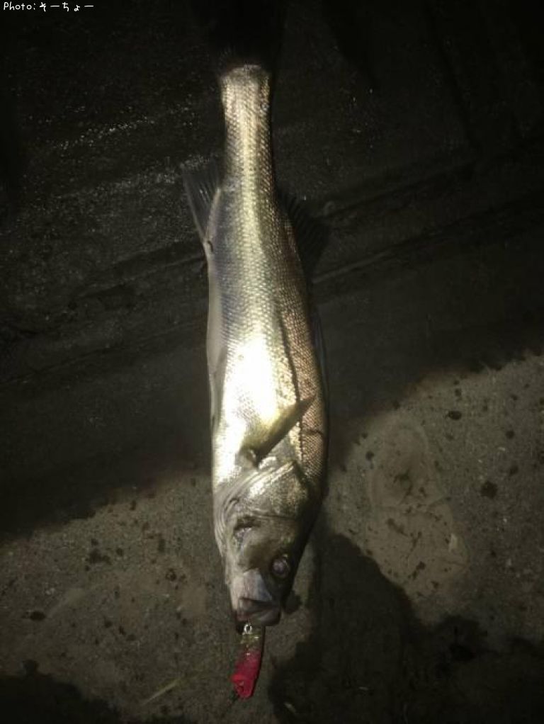 �����Х�