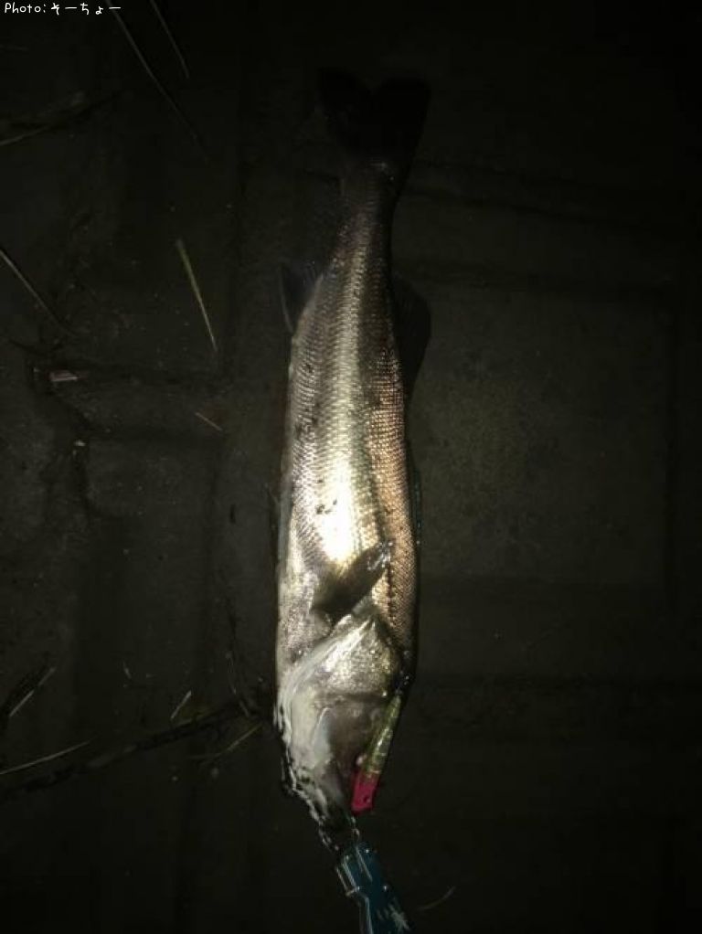 �����Х�