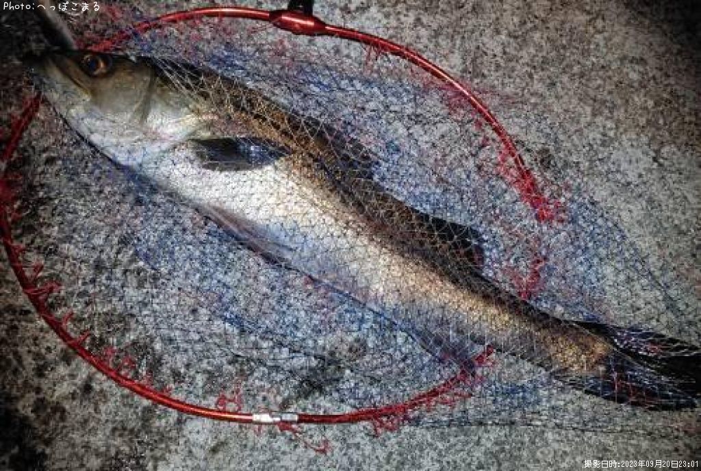 �����Х�