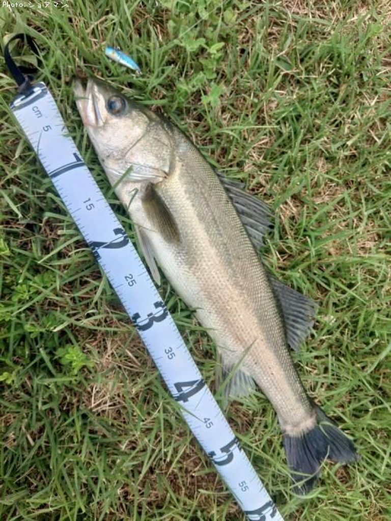 �����Х�