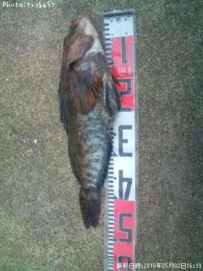 �����ʥ�