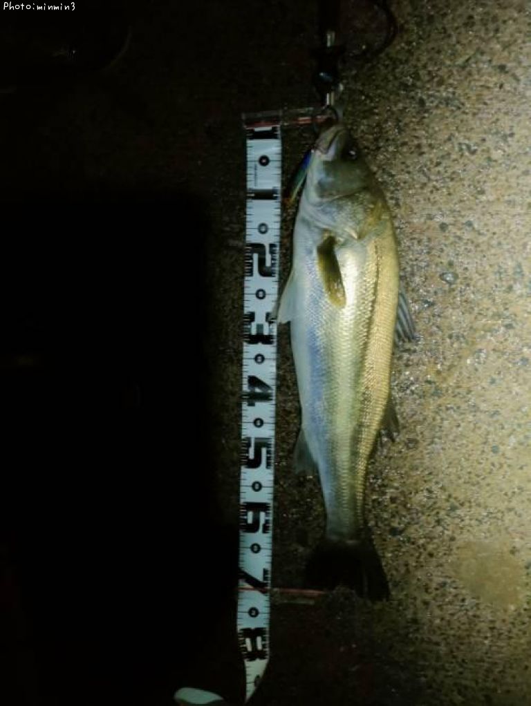 �����Х�