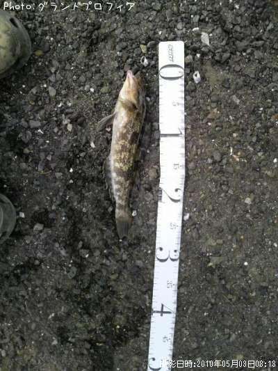 �����ʥ�