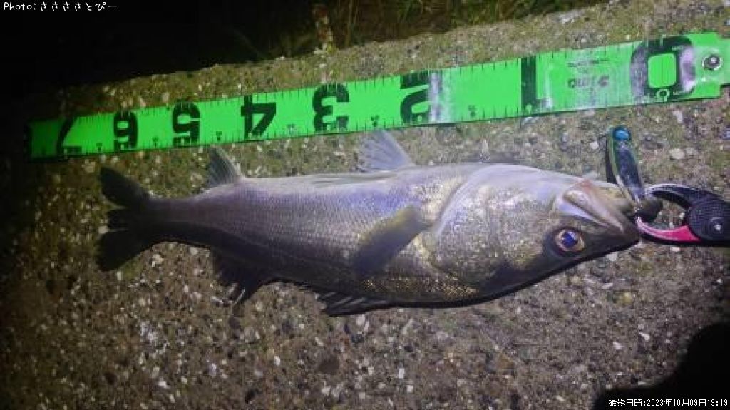 �����Х�