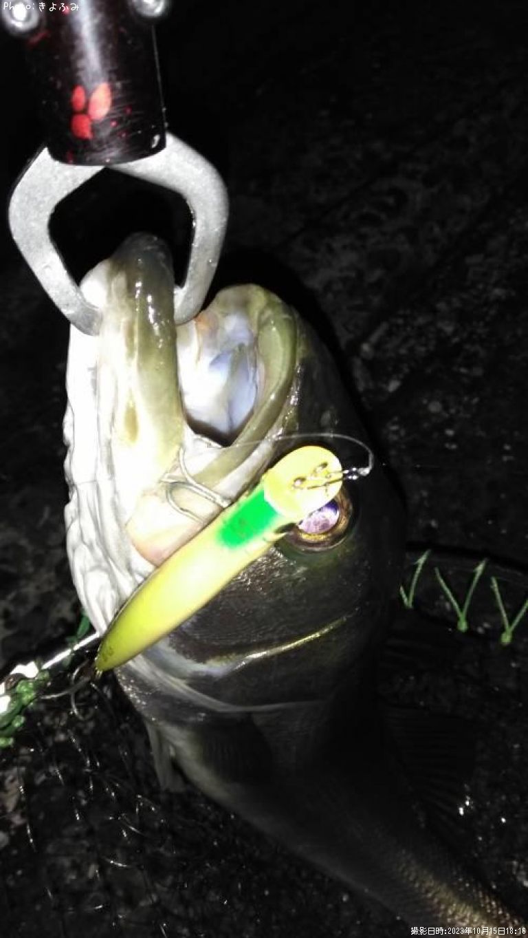 �����Х�