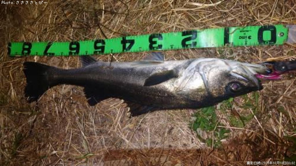 ��󥫡������Х�