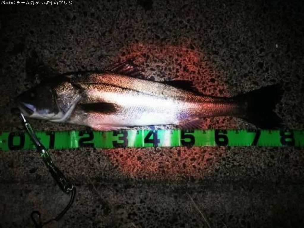 �����Х�