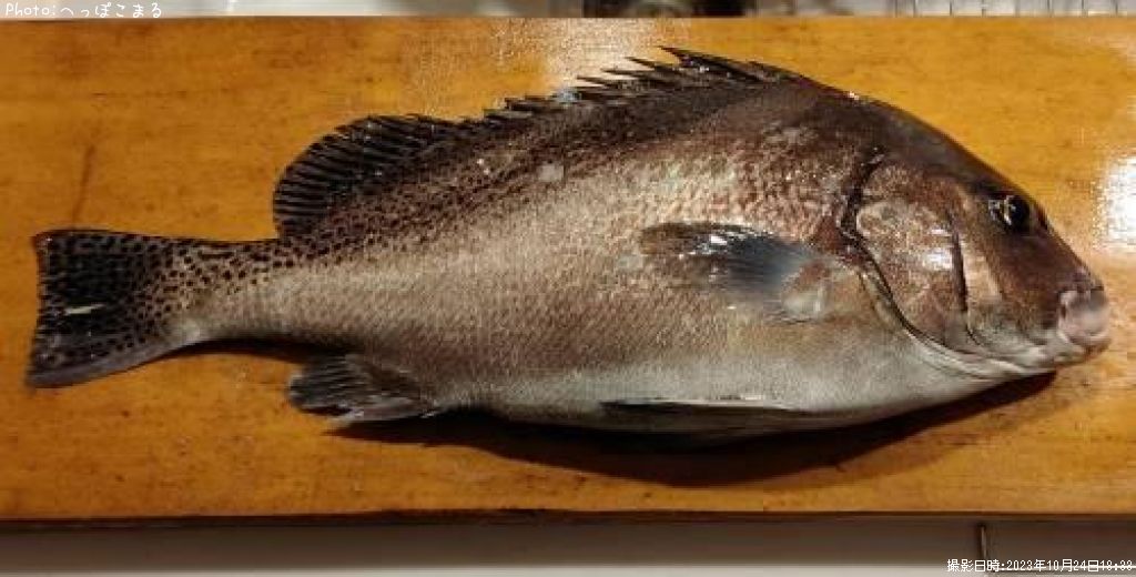 �����祦����