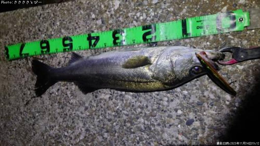 �����Х�